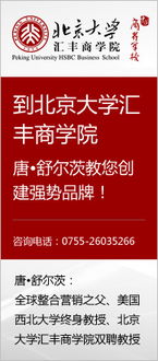 市场营销 策划、案例与广告制作